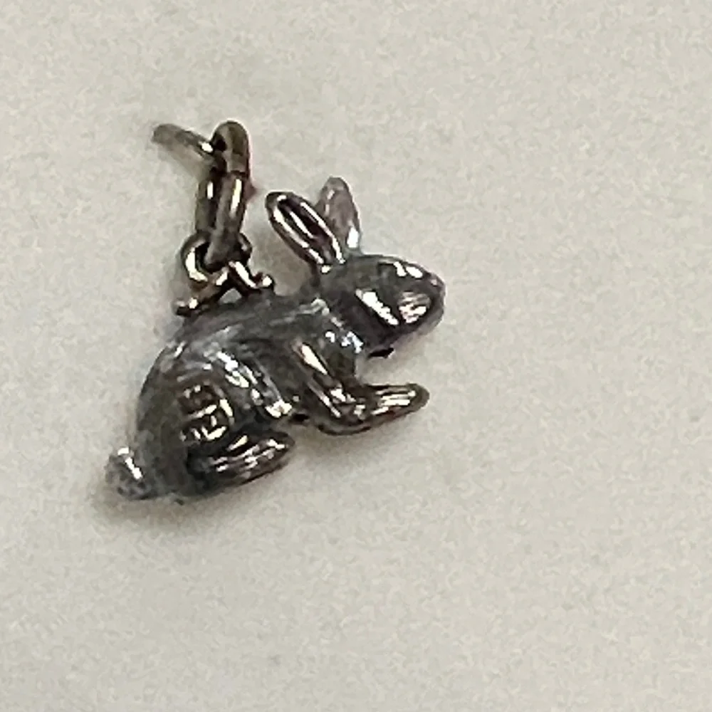 Rembrandt Charms: Rabbit Charm SS - Picture 4 of 7